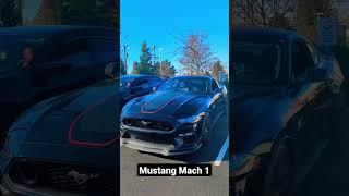 Ford Mustang Mach 1 #mustangmach1 #youtubeshorts