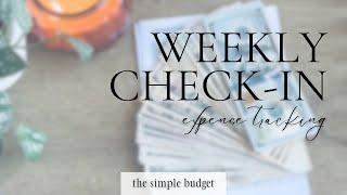 weekly check-in | expense tracking | what i bought this week | zero based budgeting