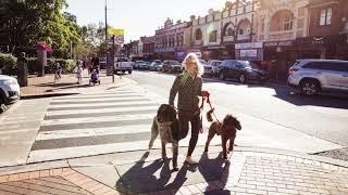 Welcome to Mosman Collective!