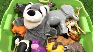 Wild Adventure! Zoo Animal Toys Galore!
