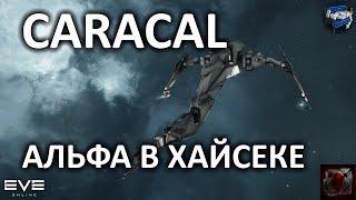 EVE online - Caracal на альфе - боёвки и экспы