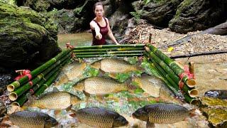 Ana cut bamboo to make a fish trap in the stream and unexpectedly caught a large haul of fish.
