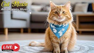 Gentle Cat Music for Relaxation: Soft Tunes to Help Your Kitty Stay Calm and Peaceful All Day 