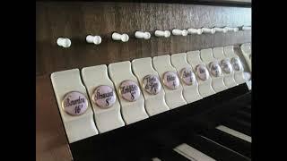 Orgelschätze in Hessen: Die Ratzmann-Orgel in Altenmittlau