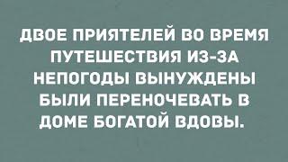 Два приятеля переночевали у богатой вдовы. Большой Сборник Свежих Анекдотов! Юмор!