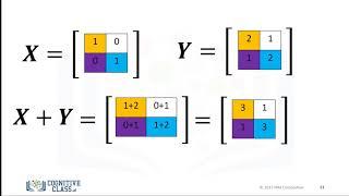 17. Numpy 2D Arrays