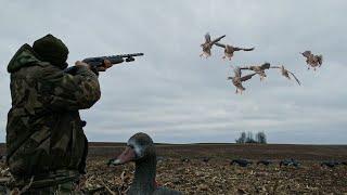 HUNT FOR GOOSE. Record production.