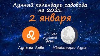 Календарь огородника на 2 января 2021 года. Лунный посевной календарь садовода | Флористикс Инфо