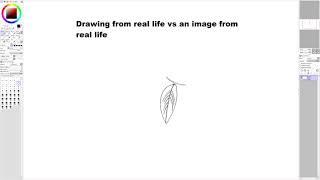 Drawing from real life vs a real life photo