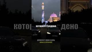 Наш тг с темками в шапке профиля, залетай! #темки #мотивация #успех #shorts