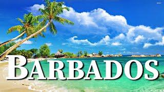 10 Things To Do In Barbados - From A Tourist's Perspective.