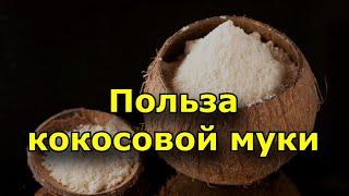 Польза кокосовой муки. Для чего используют?