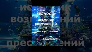 МУДРОСТЬ ВЕКОВ для Тебя - Аристотель #shorts #shortvideo #мир #беларусь