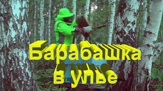 Полтергейст в улье. Пасека Сергея Буторина. 28-29 августа 2020г. 36 выпуск