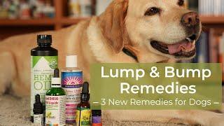 Dog Lump and Bump Home Remedies | Dr. Andrew Jones DVM