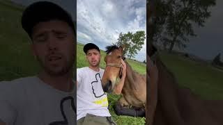 Как я докатился до жизни такой? Узнай в инст: aidarqo