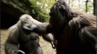Bigfoot VLOG 7 - I KNOCKED OUT YETI AND MADE PEACE WITH KEVIN