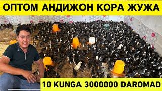 OILAVIY 1000$-1500$ OYIGA FOYDA JO'JA BOQISH BIZNESI