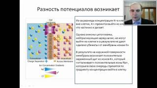 1  Общая психофармакология.