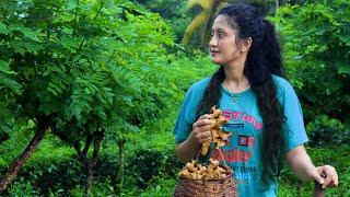 It's all about one of the most wanted spicy for the kitchen| Ginger | Poorna - The nature girl |