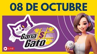 Sorteo GANA GATO de Hoy 08 de octubre 2024 