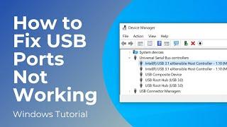 How to Fix USB Ports Not Working in Windows 10/11