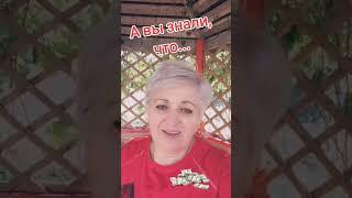 Сможешь и ты, обучение бесплатное.