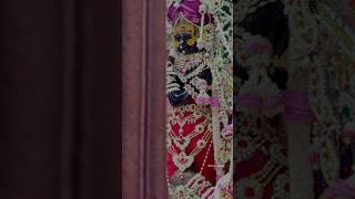 Ek baar dekh lijiye #radhavallabhlal #vrindavan