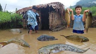 A terrible flood flooded Nam's small house. Nam caught many big fish when the water receded