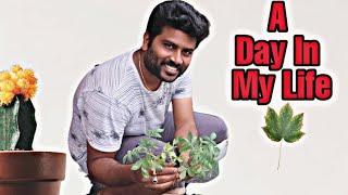 A Productive Day In My Life || HiTech Abbayi