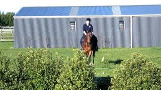 Kiely Having A Riding Lesson On Poppy With Christine Armishaw.