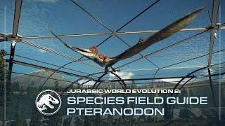 Species Field Guide | Pteranodon | Jurassic World Evolution 2