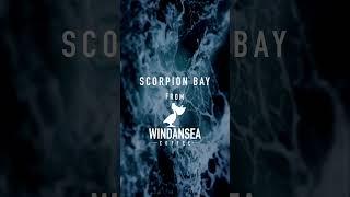 Windansea CBD Coffee Roast Profile - Scorpion Bay