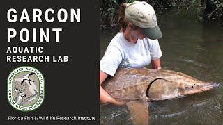 Garcon Point Aquatic Research Lab