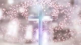 Sacred Silver 3D Cross with Drifting Pink Petals: Looping Video Background for Christian Worship