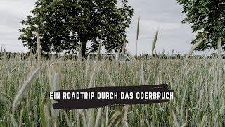 Ein Roadtrip durch das Oderbruch mit Elisa von "takeanadVANture"