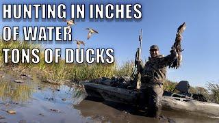 SOLO HUNT IN INCHES OF WATER TONS OF DUCKS