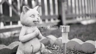 catLABS x film 80 - mamiya rb67 | first impressions