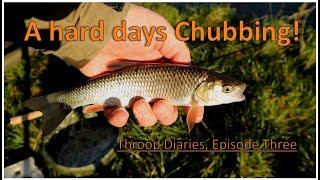 Throop fishery - Episode Three - A hard days Chub fishing!