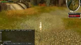 Guild Wars Graphics and gameplay