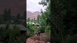 View of the village from the mountains in the early morning - Amazing #shorts