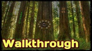 Amazing Redwood Forest Escape Full Game Walkthrough