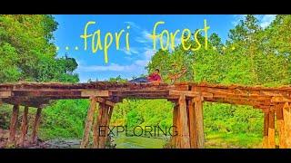 Fapri Forest Siliguri || Fapri bridge || Siliguri Rajfapri exploring