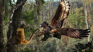 Animals wildlife 2019 HD! The eagle's great prey has caught the stupid monkey's head