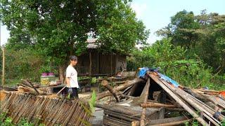 Collapsed Shed, Devastated Garden After Big Storm - Typhoon Yagi || Sơn Thôn.