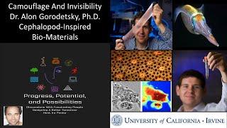 Dr. Alon Gorodetsky PhD - UC Irvine - Bio-Camouflage And Invisibility - Squid Inspired Bio-Materials
