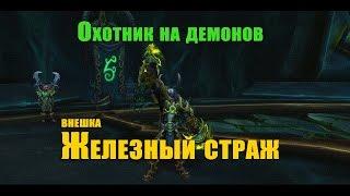 Гнев железного стража. Внешний вид "Железный страж" Альдрахийских боевых клинков.