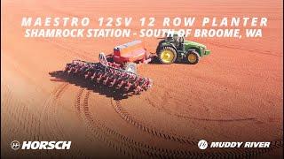 Maestro 12SV 12 Row Planter - Shamrock Station