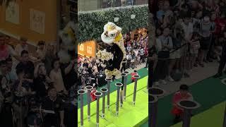 Singapore Jin Heng Dragon & Lion Dance Centre首届利达广场新马南狮高桩锦标赛The Seletar Mall 7Jun 2025