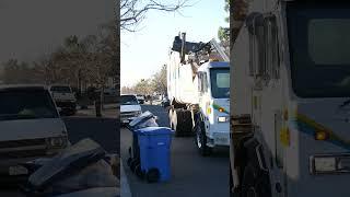 Double Trash Can Collection  #garbagecollection #garbagetruck #trash #truck #recycle #car #organic